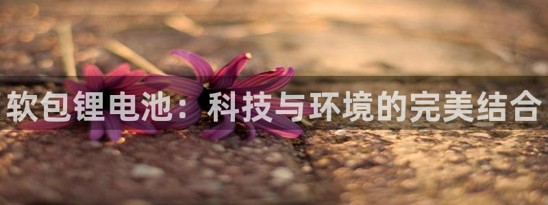 k豆钱包正确下载方式