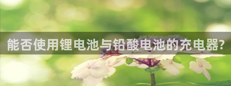 k豆钱包怎么下载：能否使用锂电池与铅酸电池的充电器?