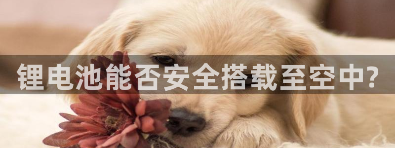 怎么下载k豆钱包app：锂电池能否安全搭载至空中?