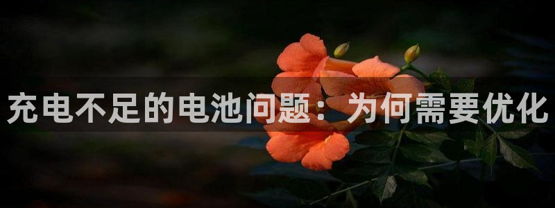 k豆钱包官网平台：充电不足的电池问题：为何需要优化