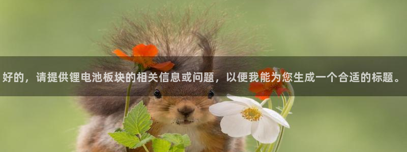 k豆钱包安全可靠吗：好的，请提供锂电池板块的相关信息或问题，以便我能为您生成一个合适的标题。