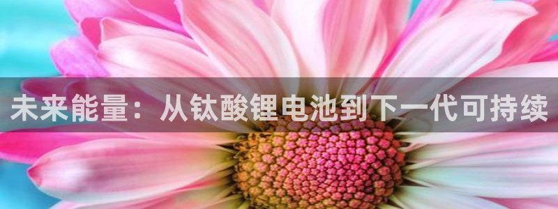 k豆钱包里面搬砖怎么玩：未来能量：从钛酸锂电池到下一代可持续