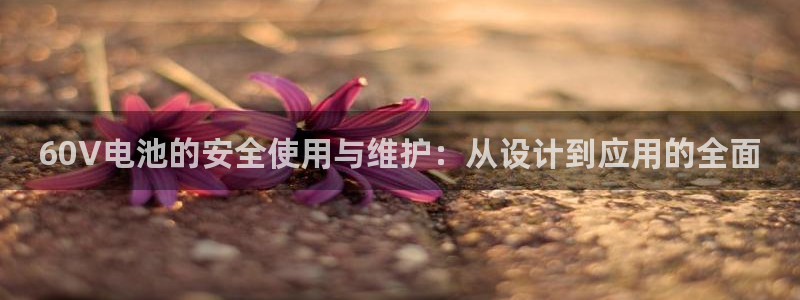 k豆钱包苹果版：60V电池的安全使用与维护：从设计到应用的全面