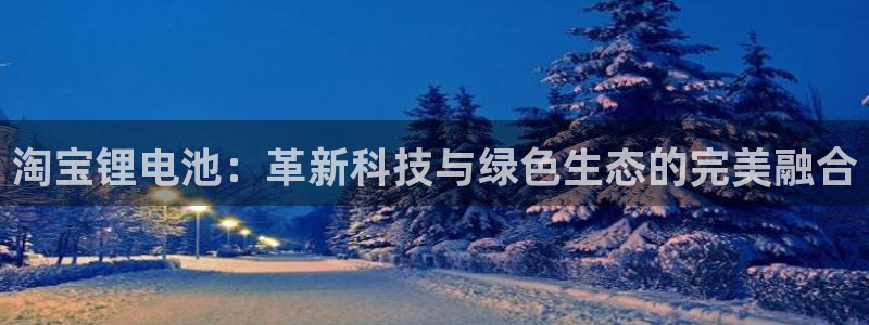 k 豆钱包 app：淘宝锂电池：革新科技与绿色生态的完美融合